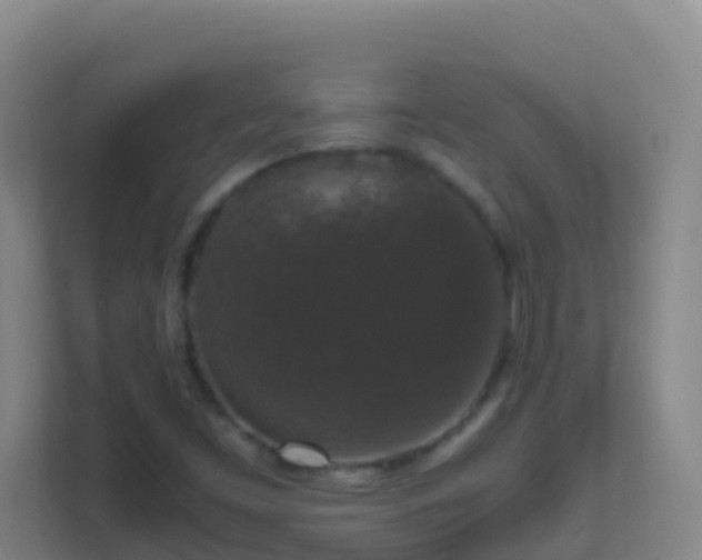 X0000111651453200907241121