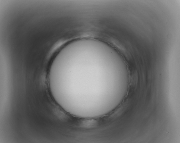 X0000111651454200907241121