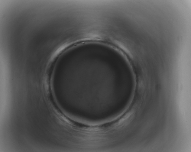 X0000111651455200907241121