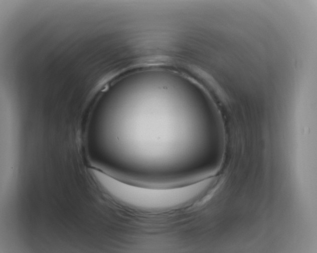 X0000111651457200907241121