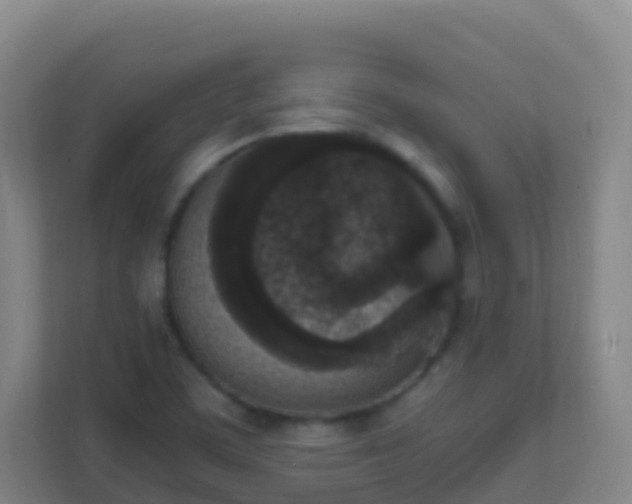 X0000111651459200907241121