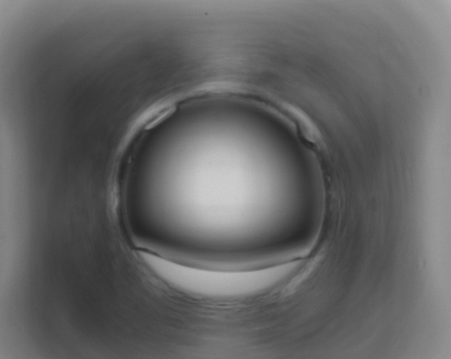 X0000111651461200907241121