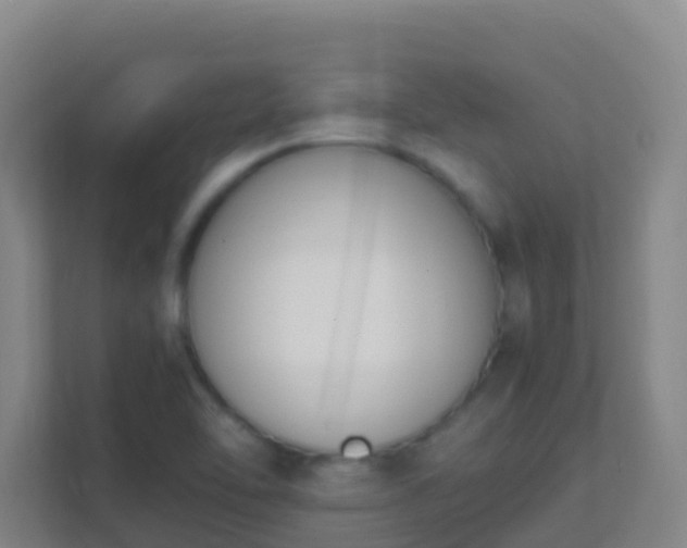 X0000111651462200907241121