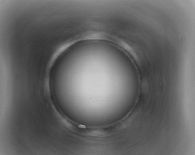 X0000111651464200907241121