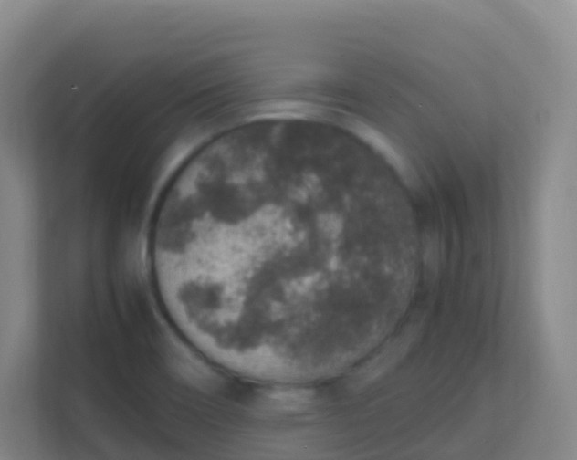X0000111651466200907241121