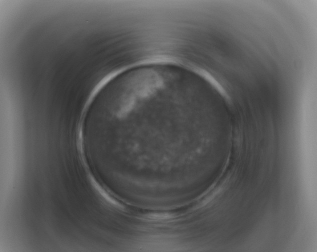 X0000111651468200907241121