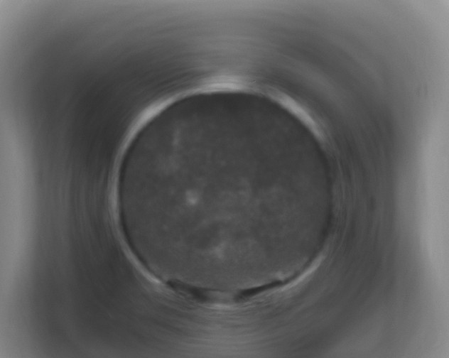 X0000111651469200907241121