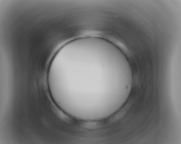 X0000111651470200907241121