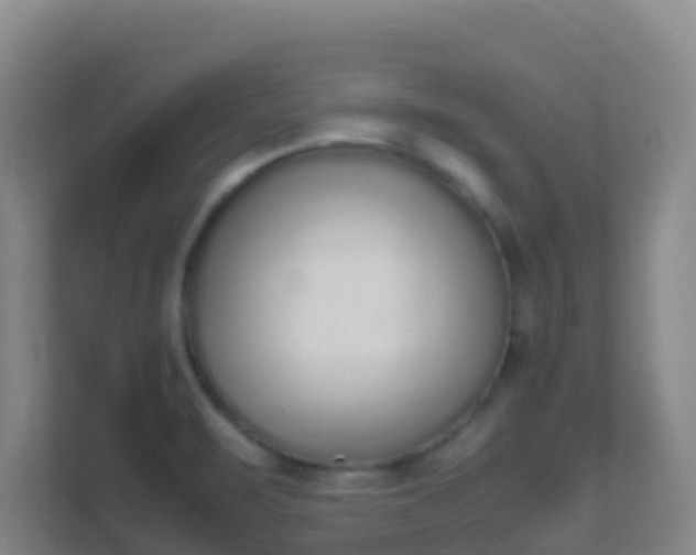 X0000111651471200907241121