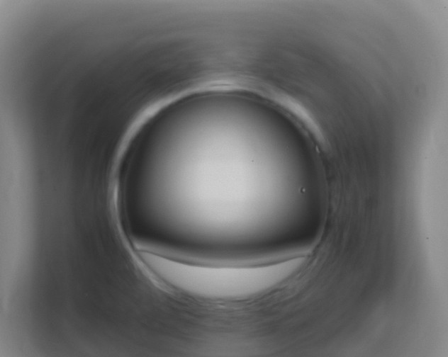 X0000111651472200907241121