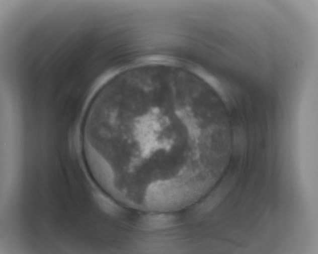 X0000111651474200907241121