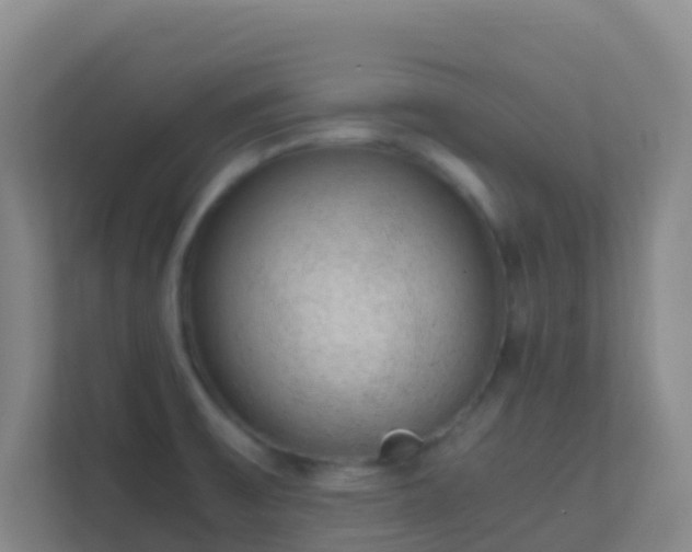X0000111651475200907241121