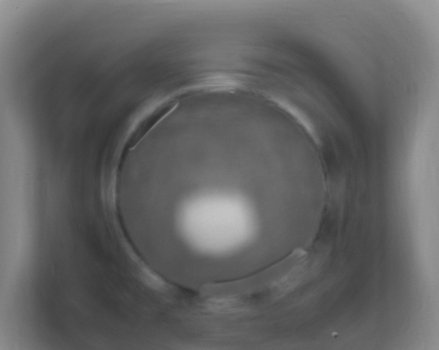 X0000111651477200907241121
