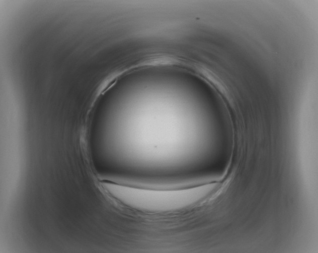X0000111651481200907241121