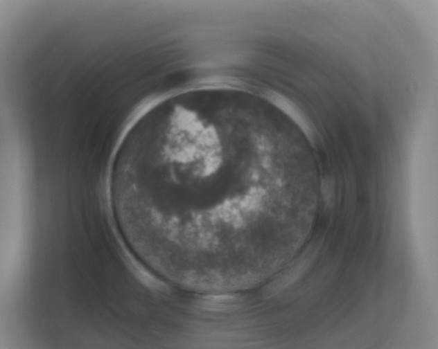 X0000111651482200907241121