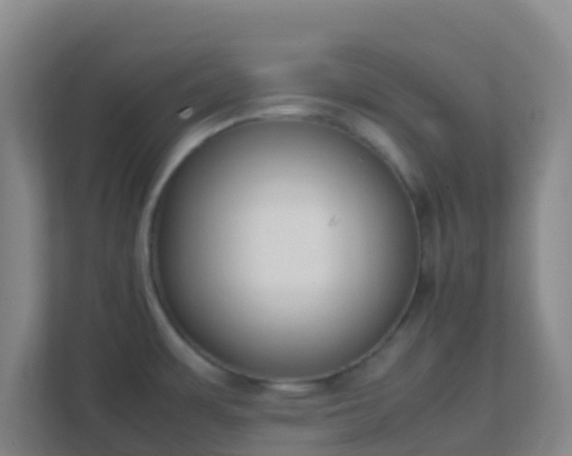 X0000111651483200907241121
