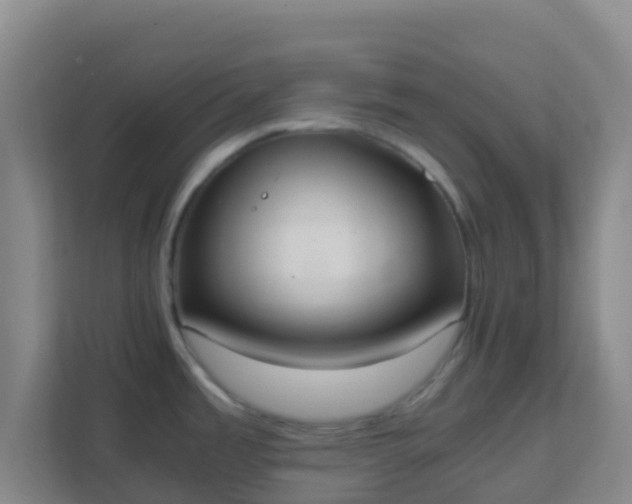 X0000111651485200907241121