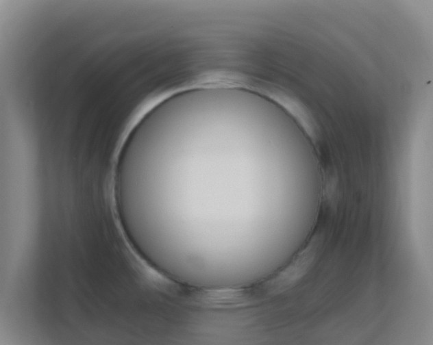 X0000111651486200907241121