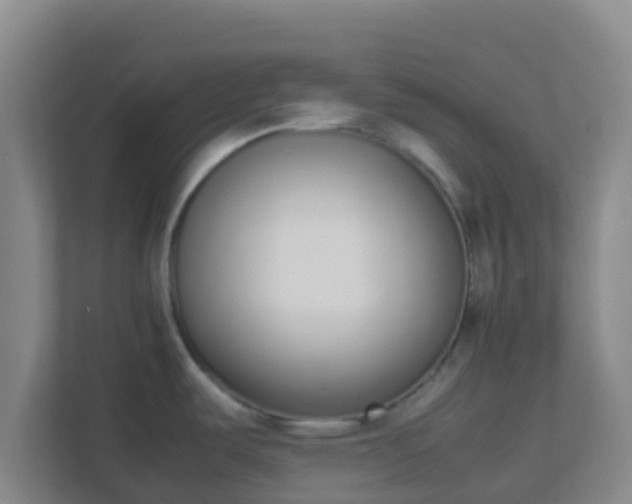 X0000111651487200907241121