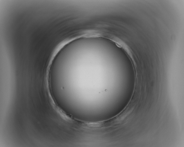 X0000111651488200907241121