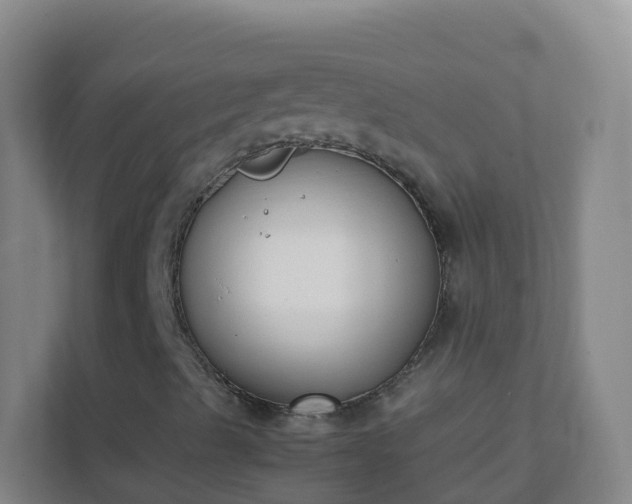 X0000111651489200907241120