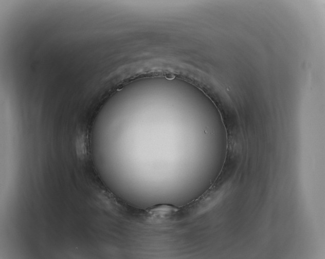 X0000111651490200907241120