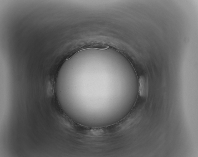 X0000111651491200907241120