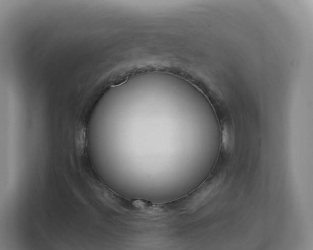 X0000111651492200907241120