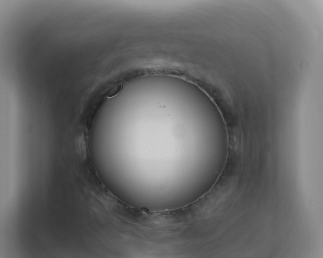 X0000111651493200907241120