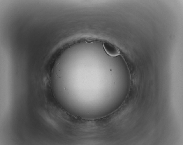 X0000111651495200907241120
