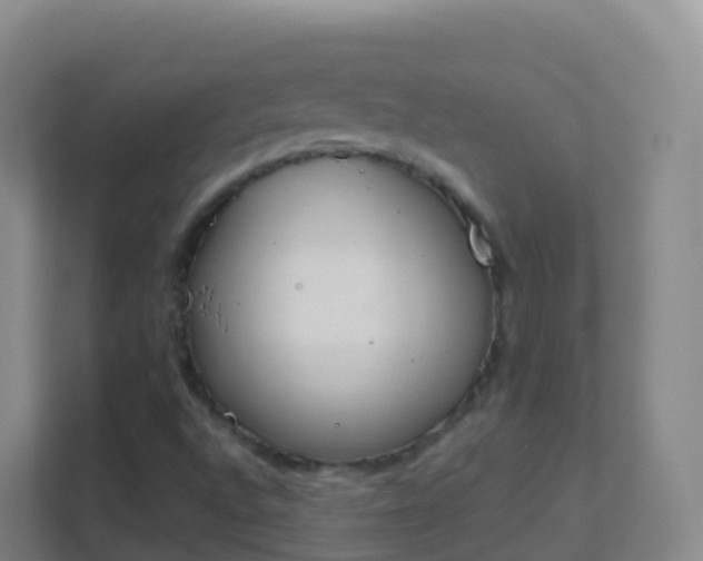 X0000111651496200907241120