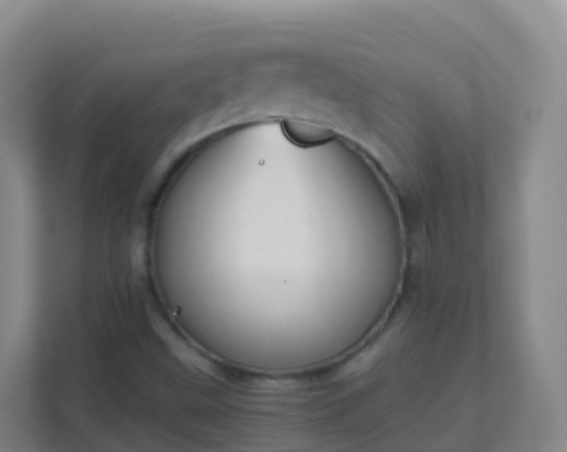 X0000111651499200907241120