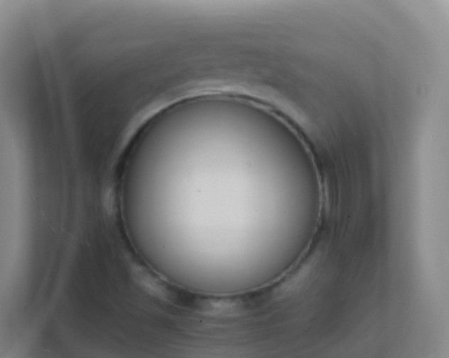 X0000111651501200907241120