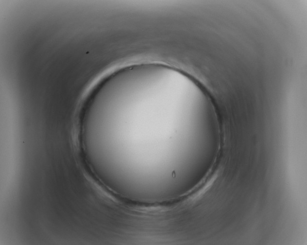 X0000111651502200907241120