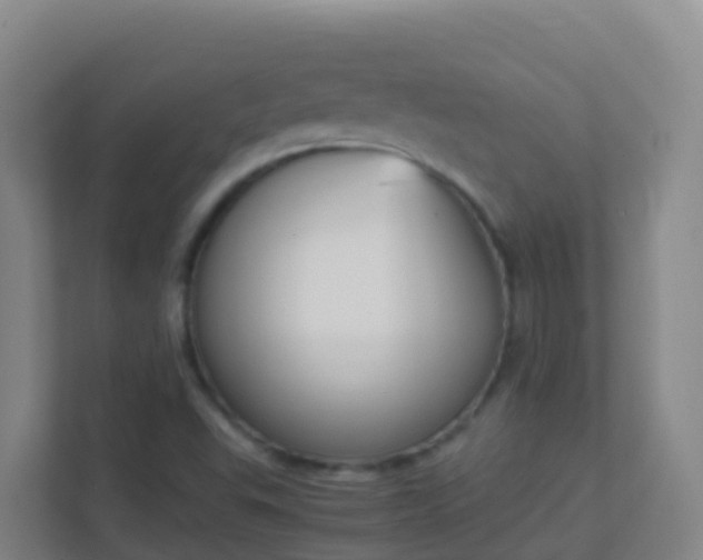 X0000111651503200907241121