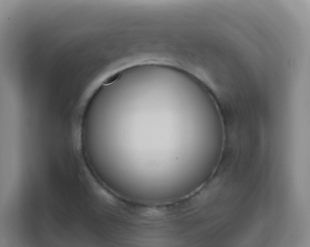 X0000111651504200907241121