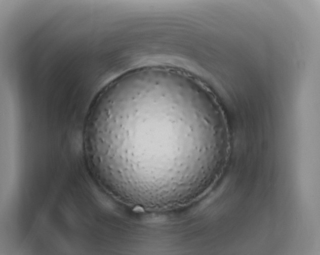 X0000111651505200907241121