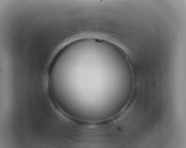 X0000111651507200907241121