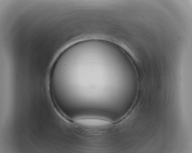 X0000111651508200907241121