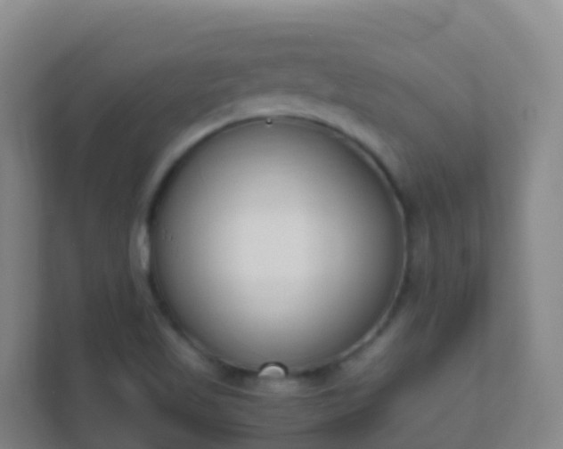 X0000111651509200907241121