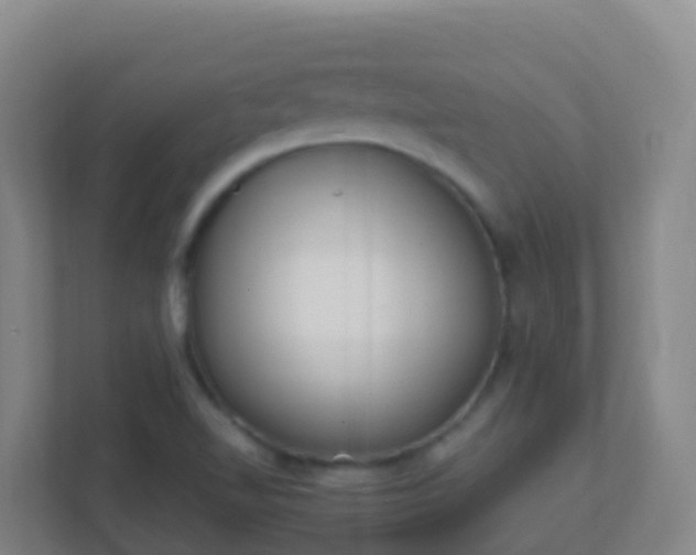 X0000111651510200907241121
