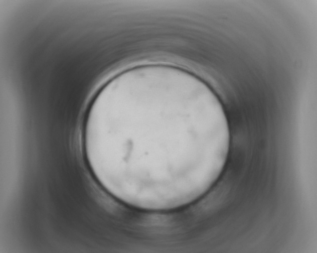 X0000111651514200907241121