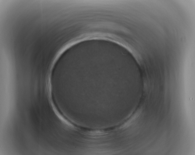 X0000111651515200907241121