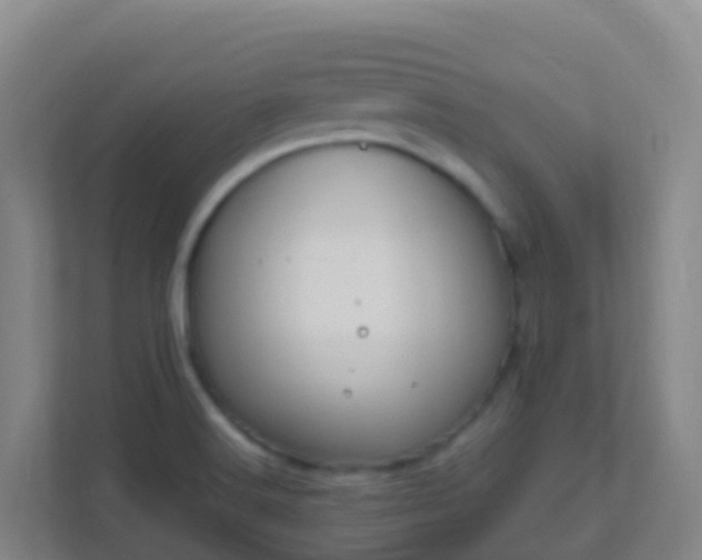 X0000111651516200907241121