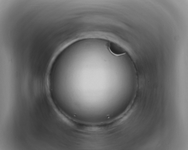 X0000111651517200907241121