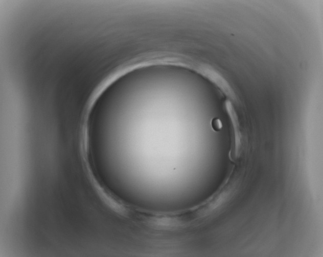 X0000111651520200907241121