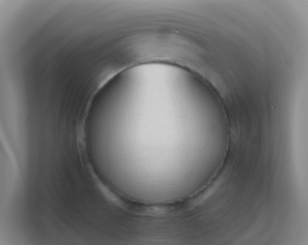 X0000111651521200907241121