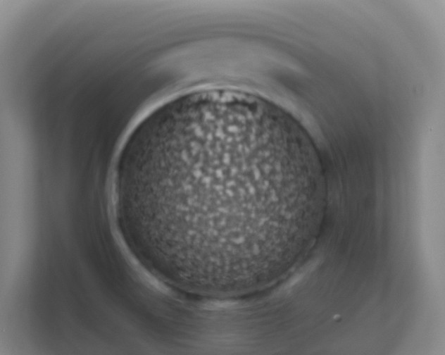 X0000111651522200907241121