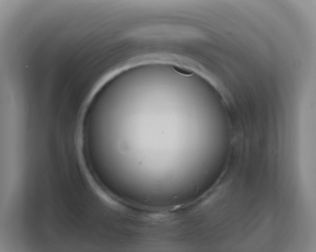 X0000111651523200907241121