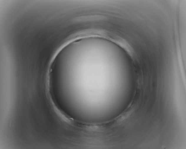 X0000111651524200907241121